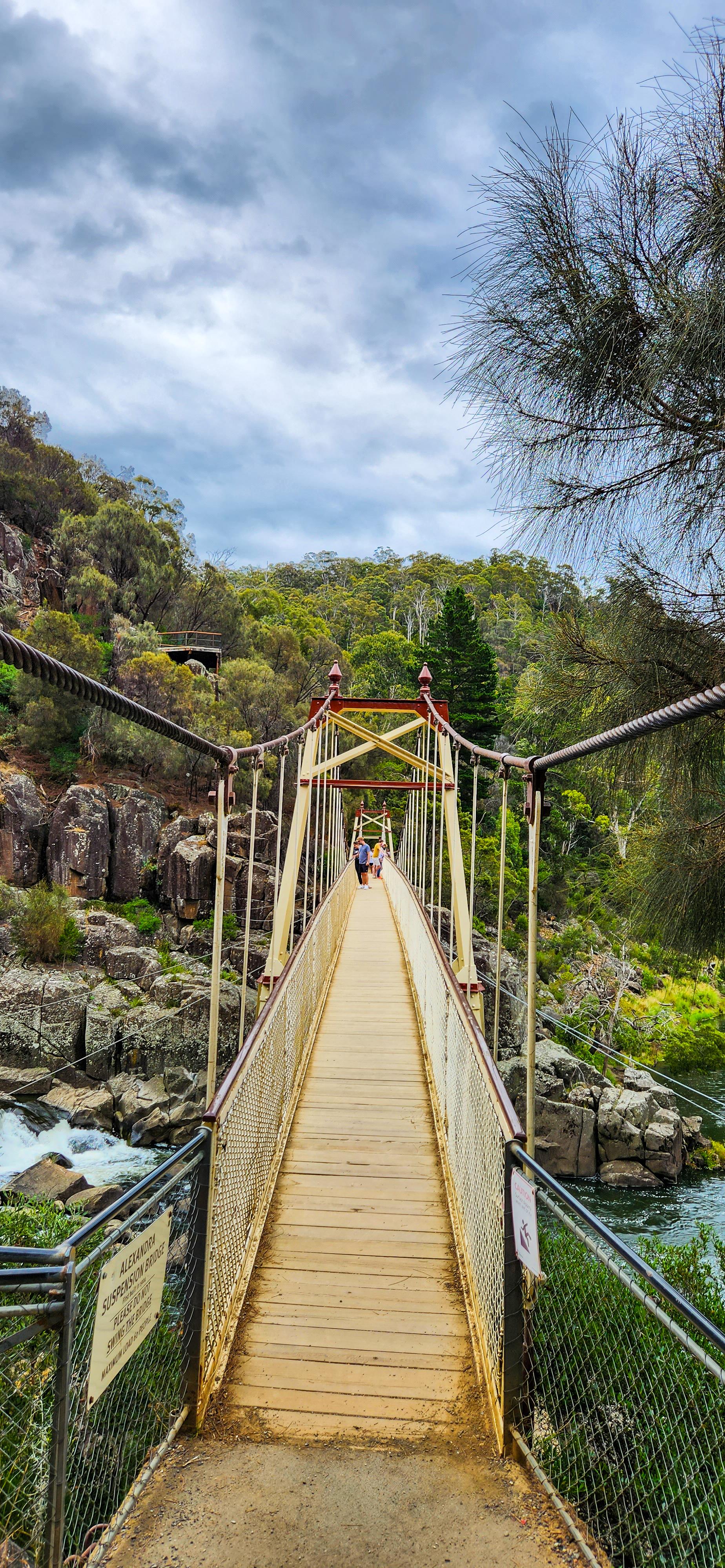 Alexandra Suspension Bridge